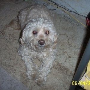 Meet your Posher, Patty